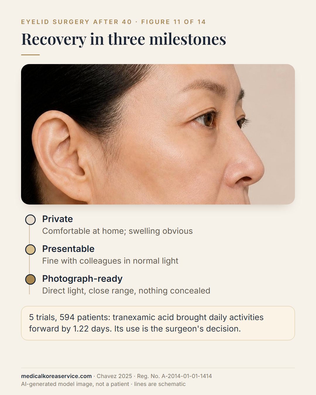AI-generated model photo. Three recovery milestones after eyelid surgery under a portrait: private, presentable and photograph-ready, with a note that tranexamic acid brought daily activities forward by 1.22 days